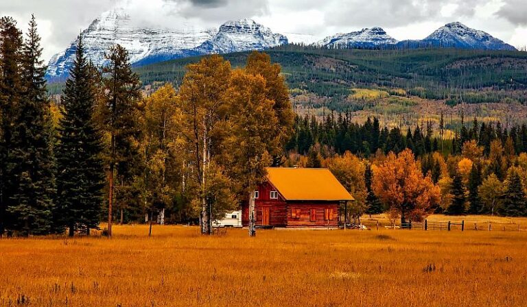 Quilt Shops in Colorado