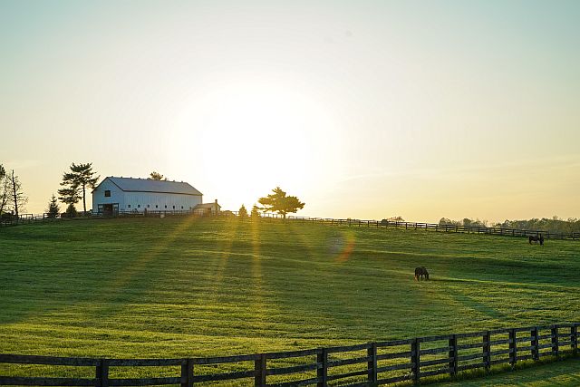 Quilt Shops in Kentucky